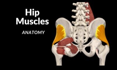 Muscles of the Hip